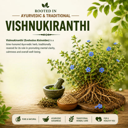 Srividhya Naturals Vishnu Kiranthi Powder 150g | Pure Ayurvedic Herbal Powder